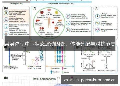 某身体型中卫状态波动因素,体能分配与对抗节奏 某身体型中卫状态波动因素,体能分配与对抗节奏